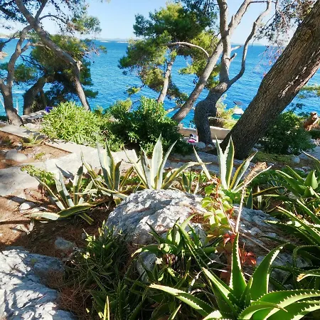 Seaside Apartments Sunny Prizba Apartman